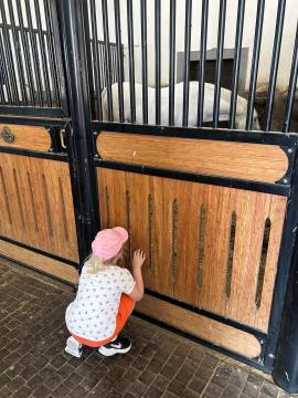 Delovni obisk ekipe VitaTiim; Vir: Občina Sežana